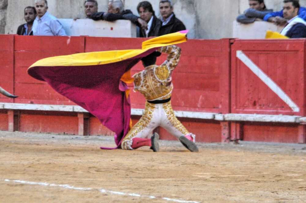 2016cordimamvendnimes (67)