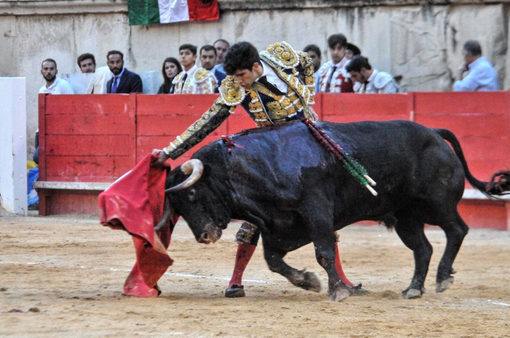 2016cordimamvendnimes (79)
