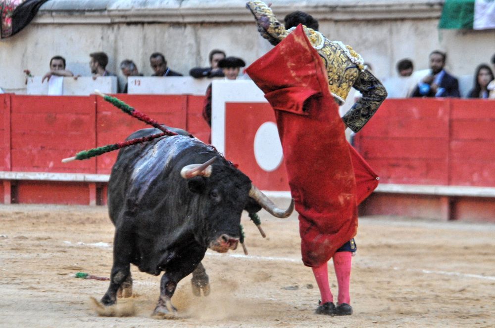 2016cordimamvendnimes (86)