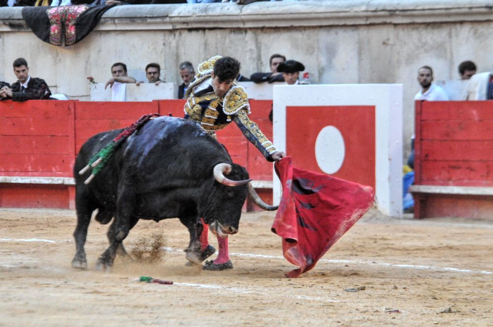 2016cordimamvendnimes (94)