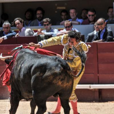 Corrida Dimanche Matin Istres 2016