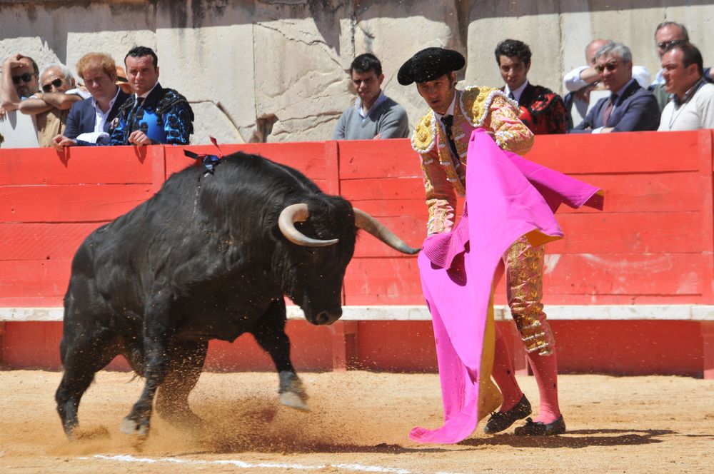 2016cordimMpentnimes (11)