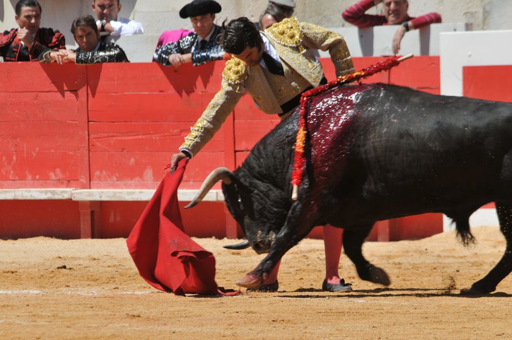2016cordimMpentnimes (12)