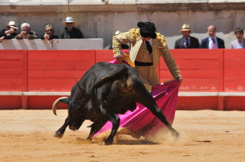 2016cordimMpentnimes (15)