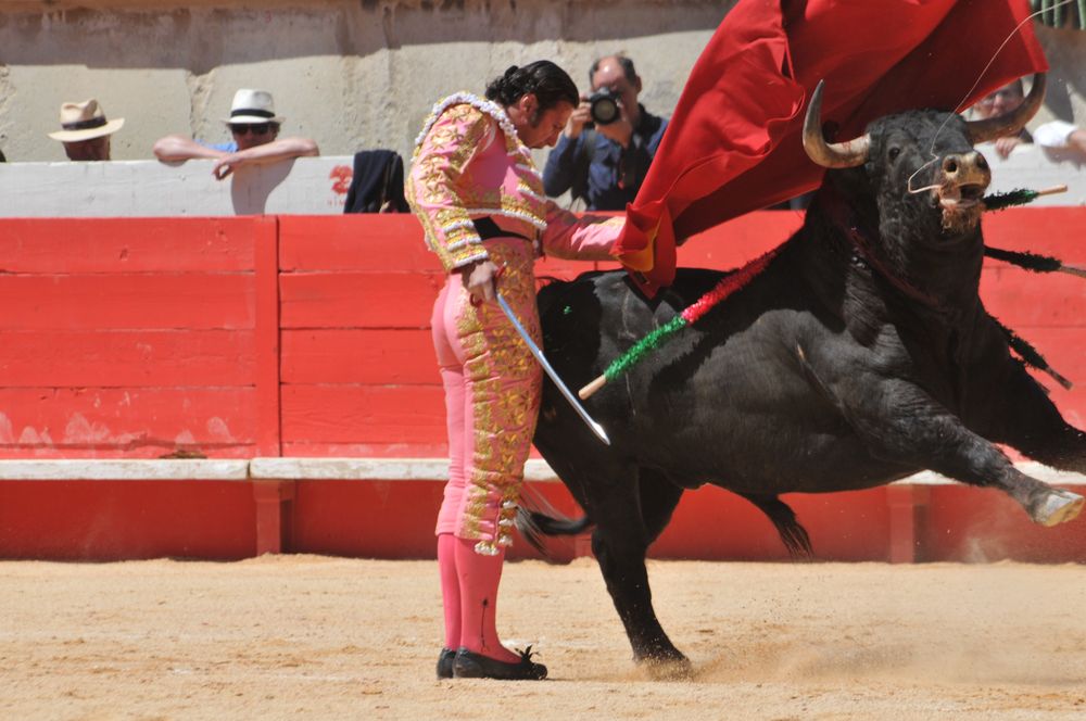 2016cordimMpentnimes (17)