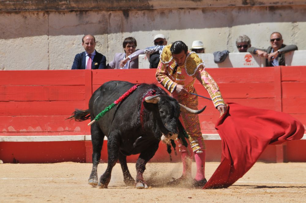 2016cordimMpentnimes (18)