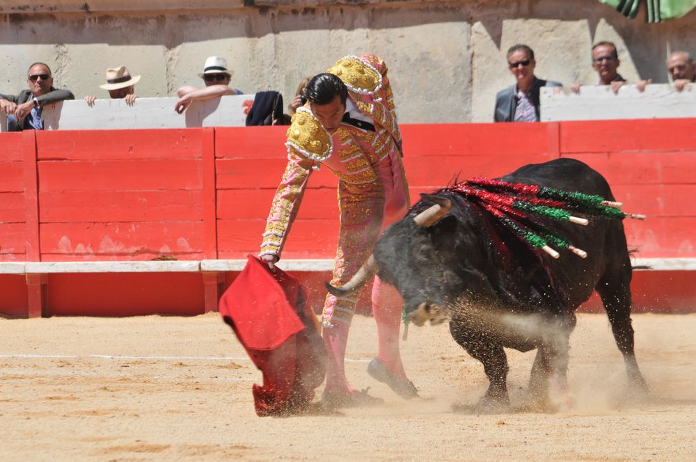 2016cordimMpentnimes (19)