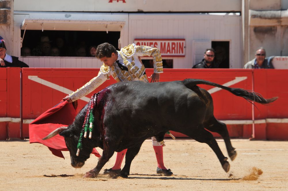 2016cordimMpentnimes (2)
