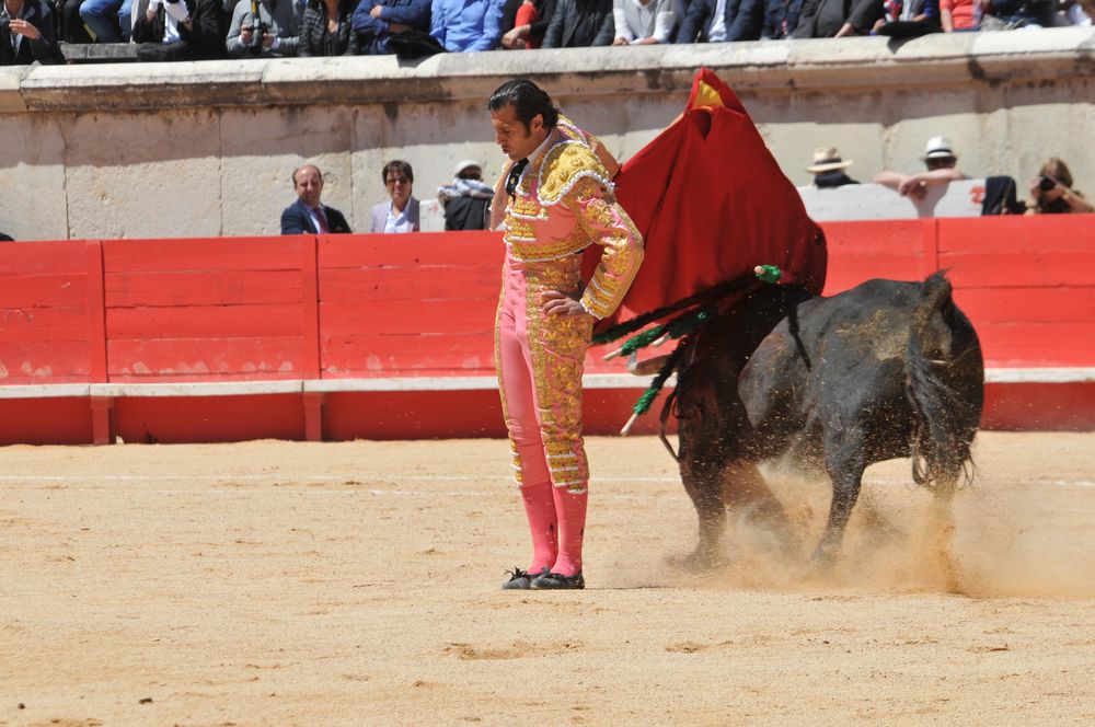 2016cordimMpentnimes (20)