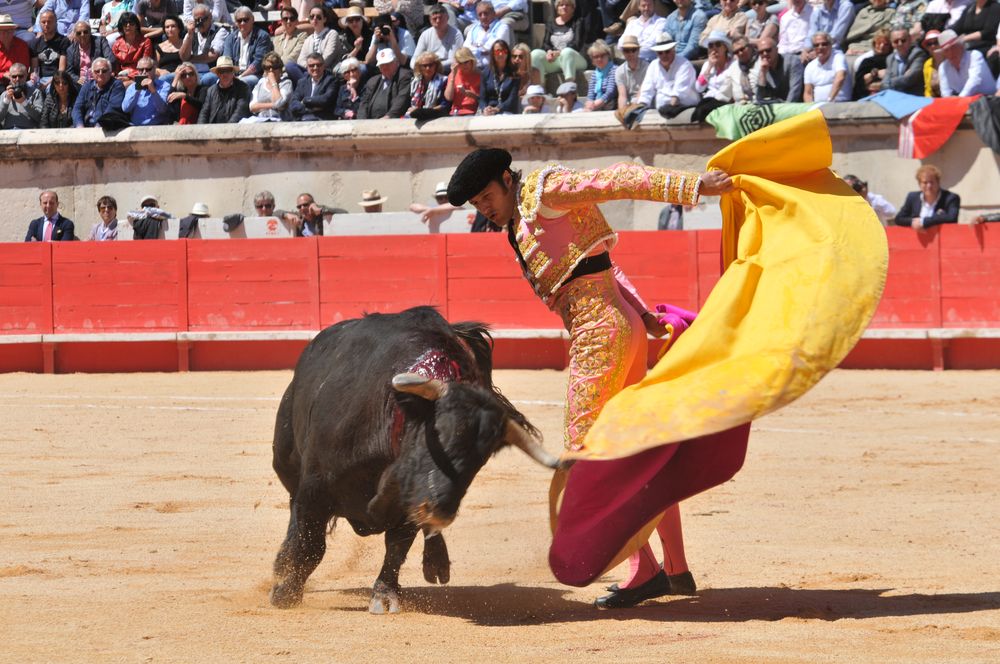 2016cordimMpentnimes (22)