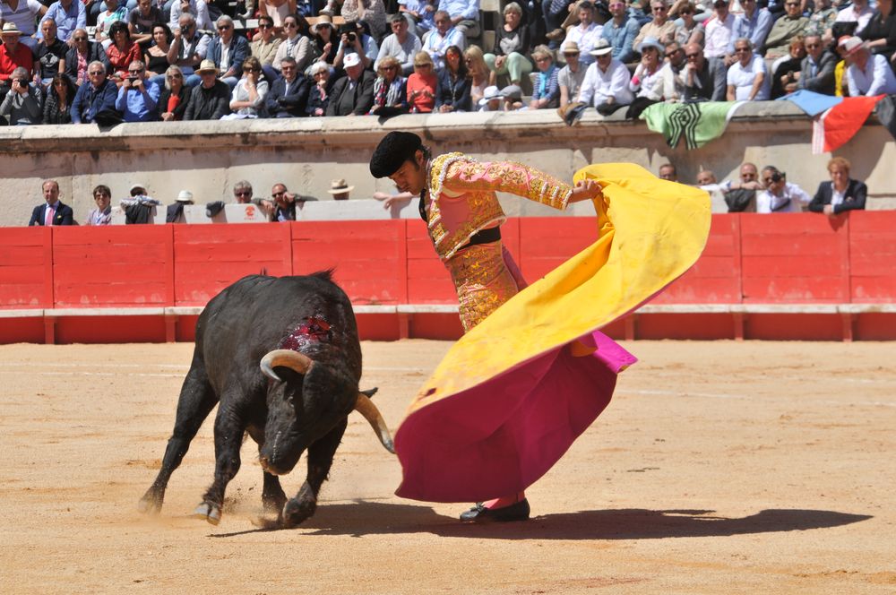 2016cordimMpentnimes (23)