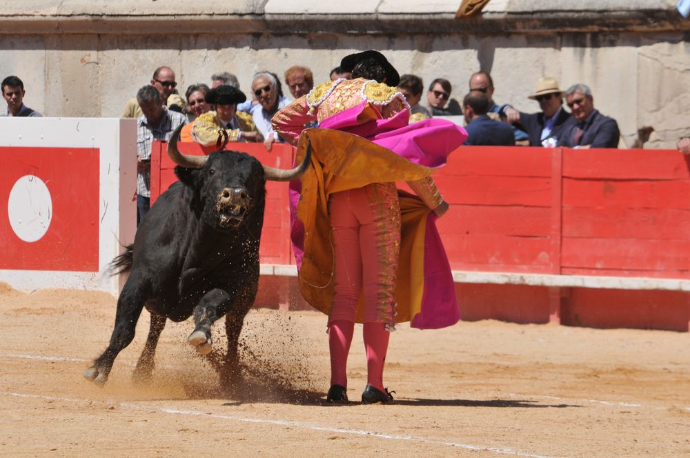 2016cordimMpentnimes (24)