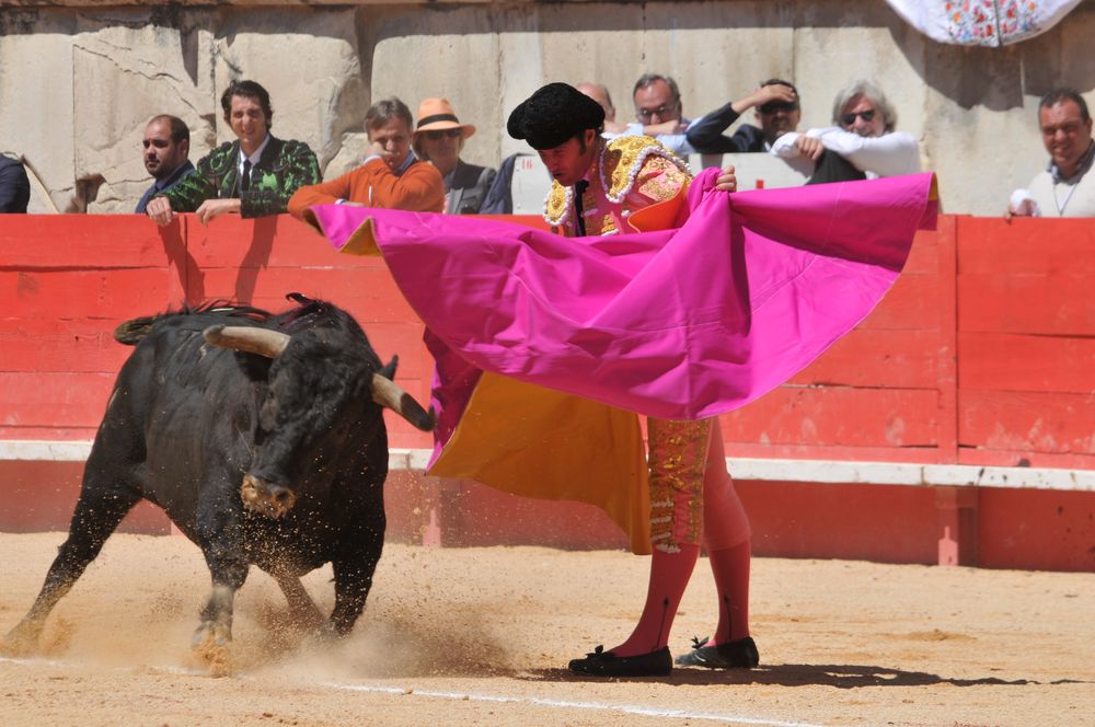 2016cordimMpentnimes (25)