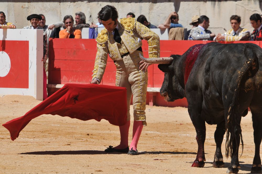 2016cordimMpentnimes (26)
