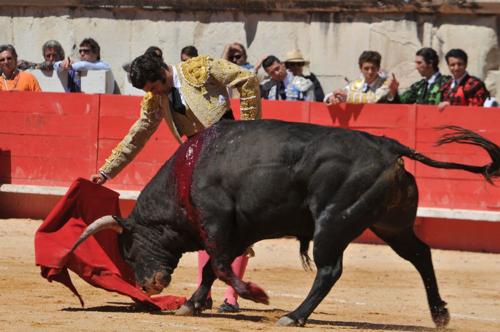 2016cordimMpentnimes (27)
