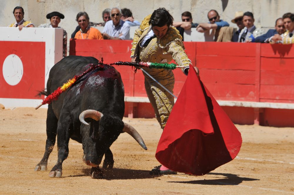 2016cordimMpentnimes (28)