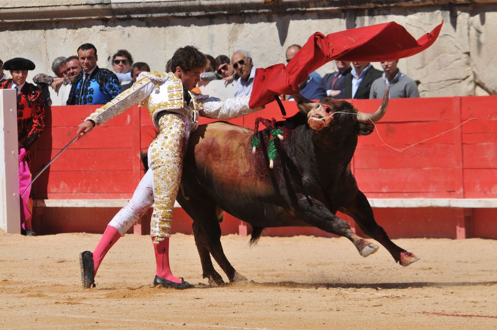 2016cordimMpentnimes (32)