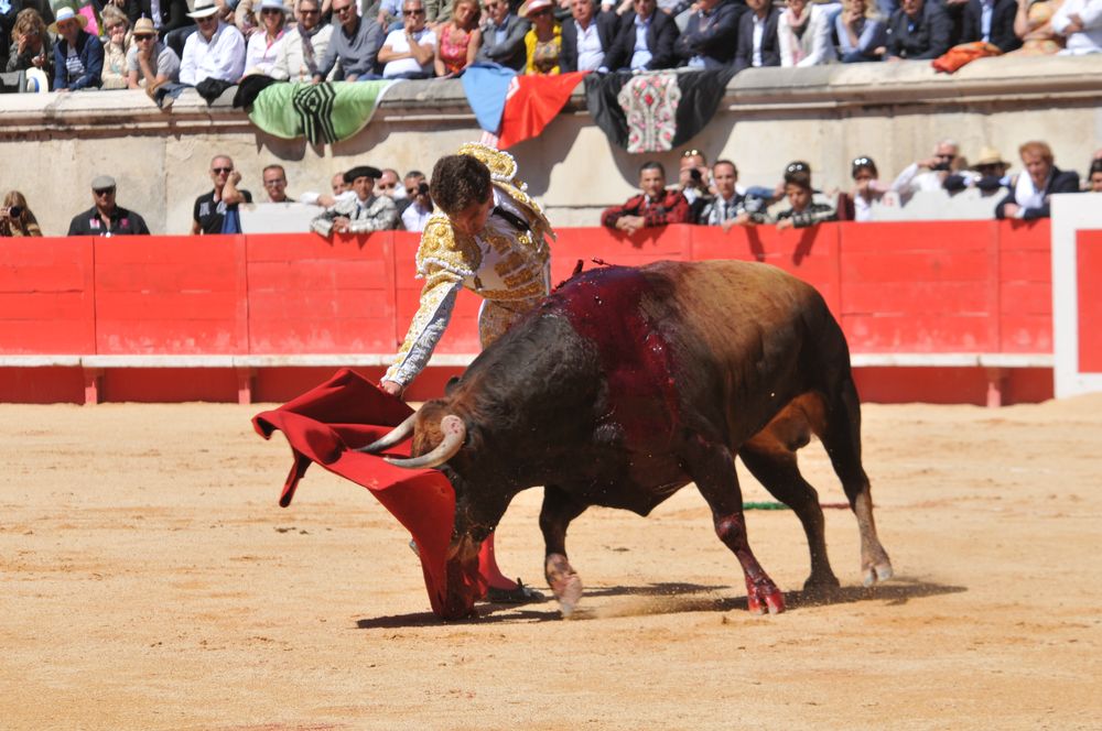 2016cordimMpentnimes (34)