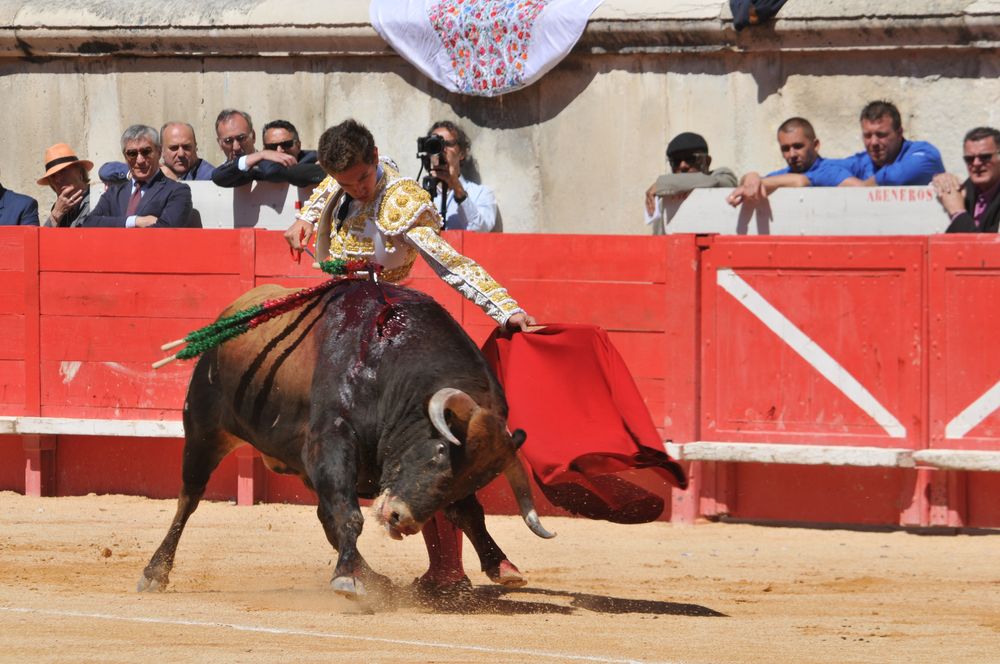2016cordimMpentnimes (35)