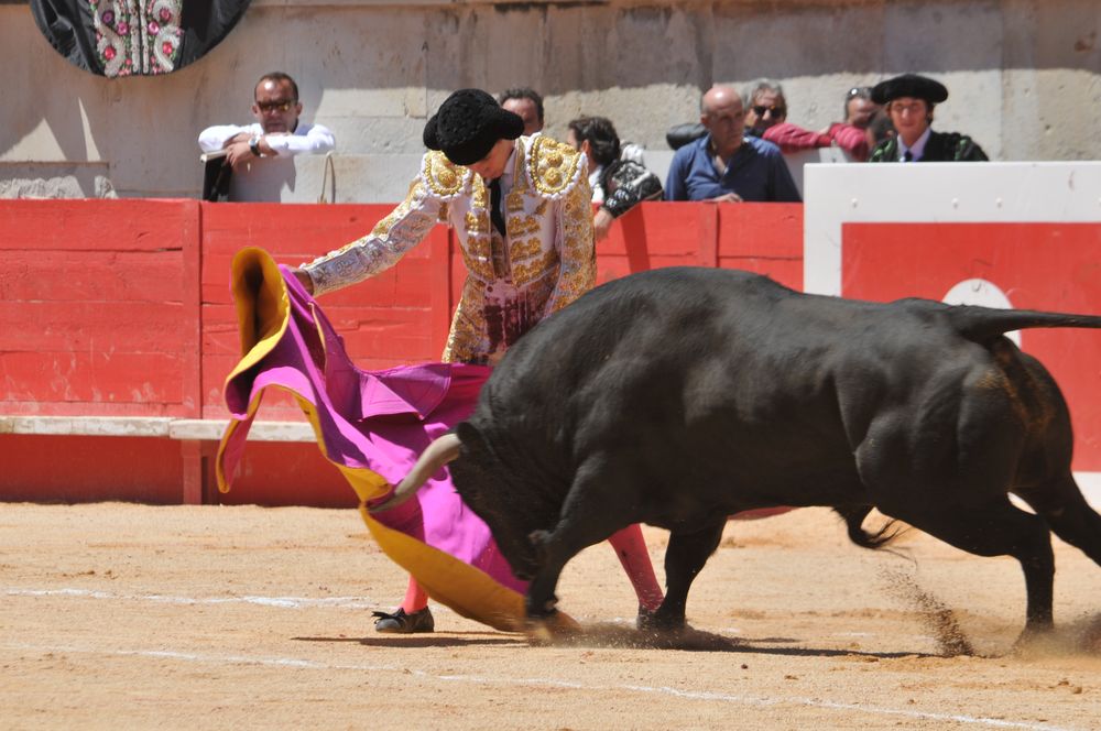 2016cordimMpentnimes (4)