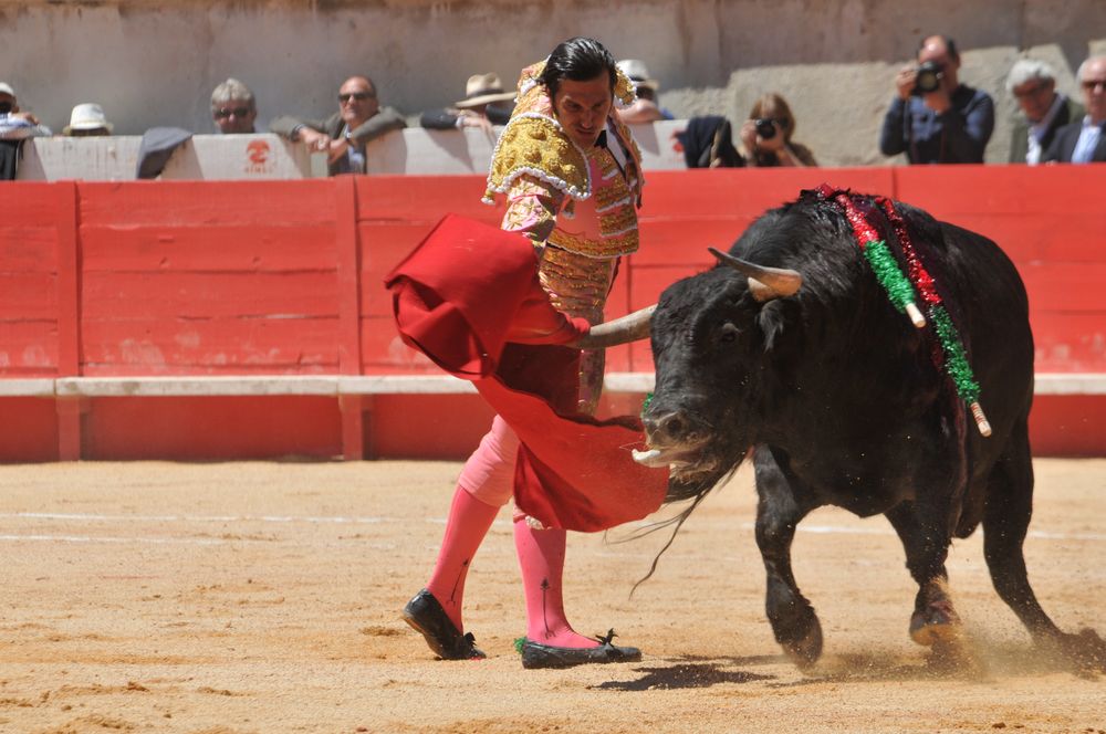 2016cordimMpentnimes (6)