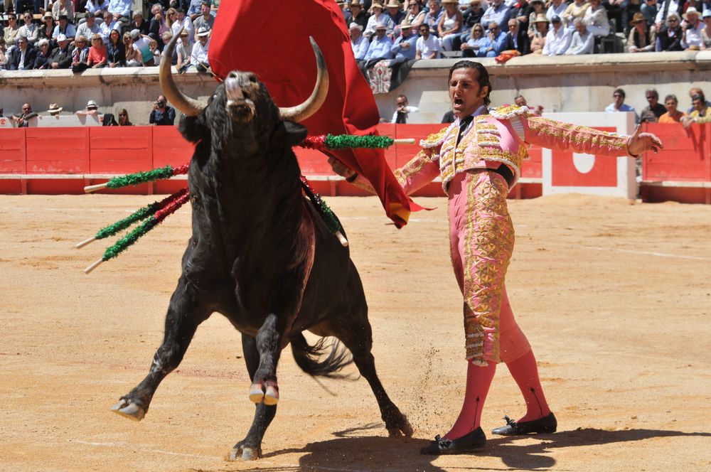 2016cordimMpentnimes (8)