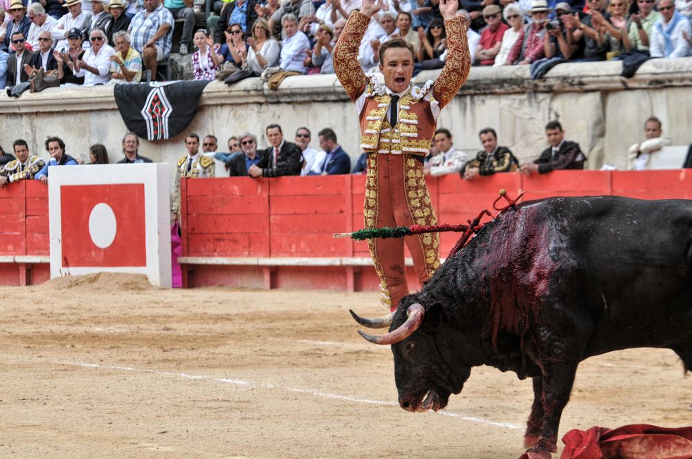 2016cordimmvendnimes (105)