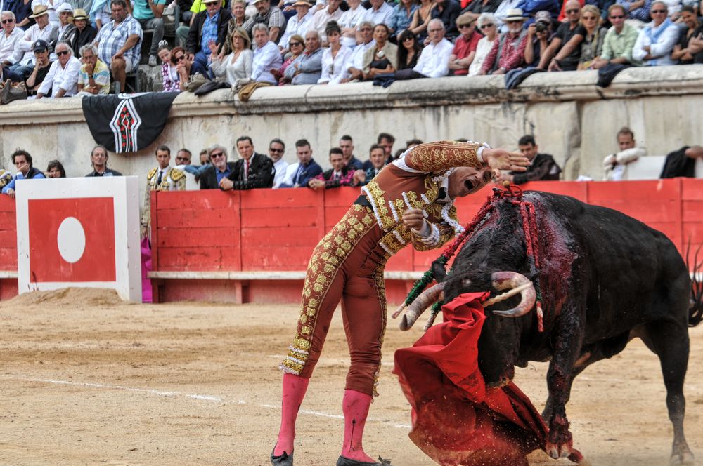 2016cordimmvendnimes (108)