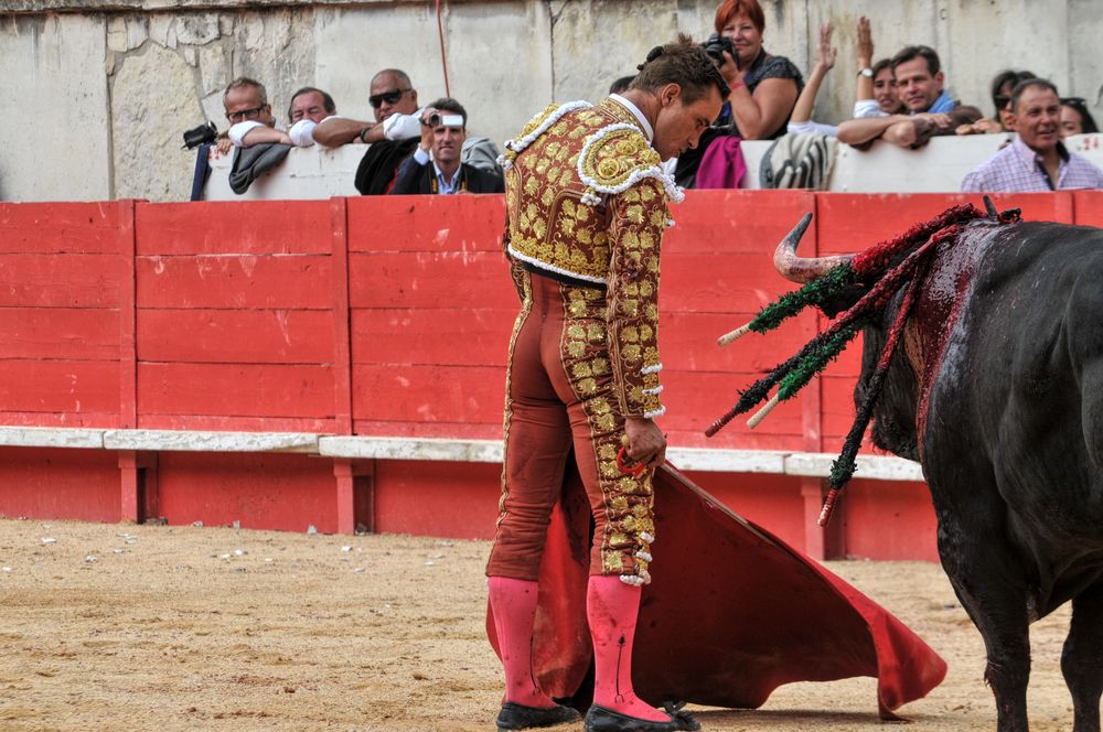 2016cordimmvendnimes (118)