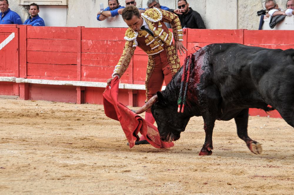 2016cordimmvendnimes (126)