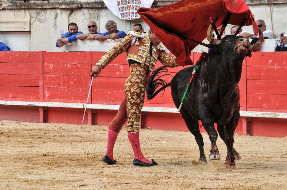 2016cordimmvendnimes (127)