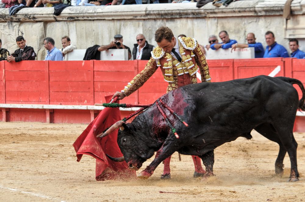 2016cordimmvendnimes (130)