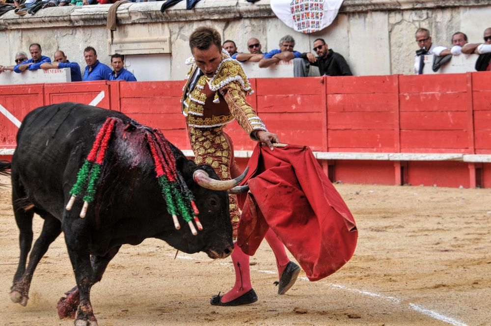 2016cordimmvendnimes (138)