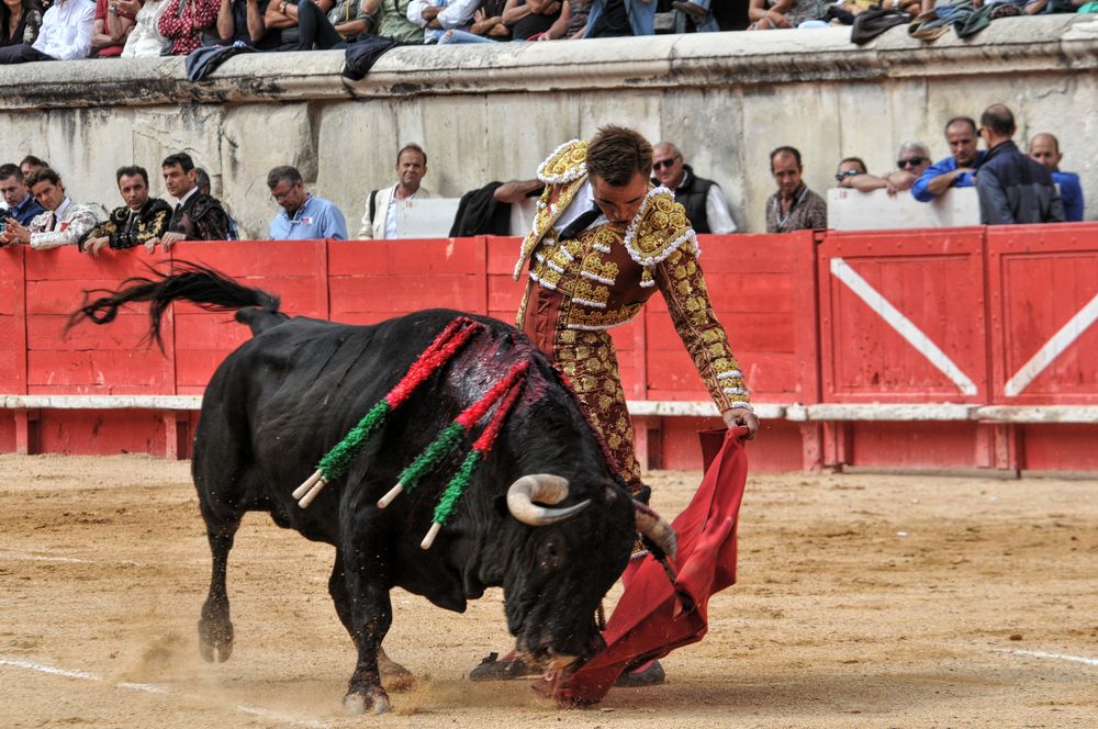 2016cordimmvendnimes (149)