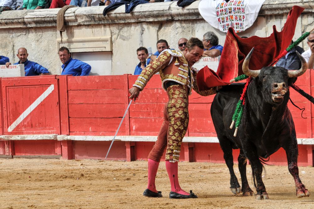 2016cordimmvendnimes (152)