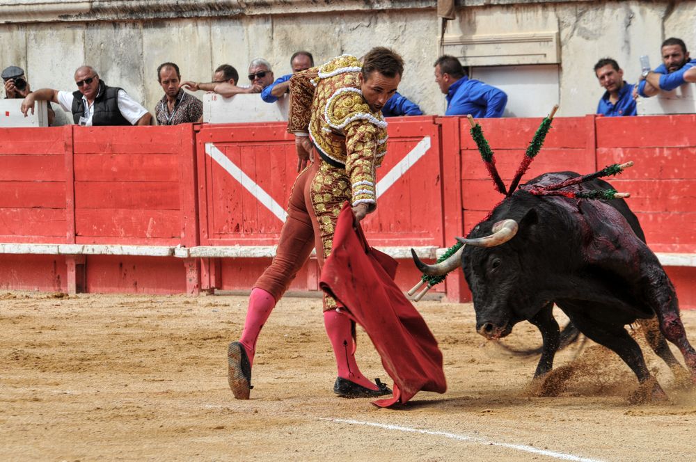 2016cordimmvendnimes (157)