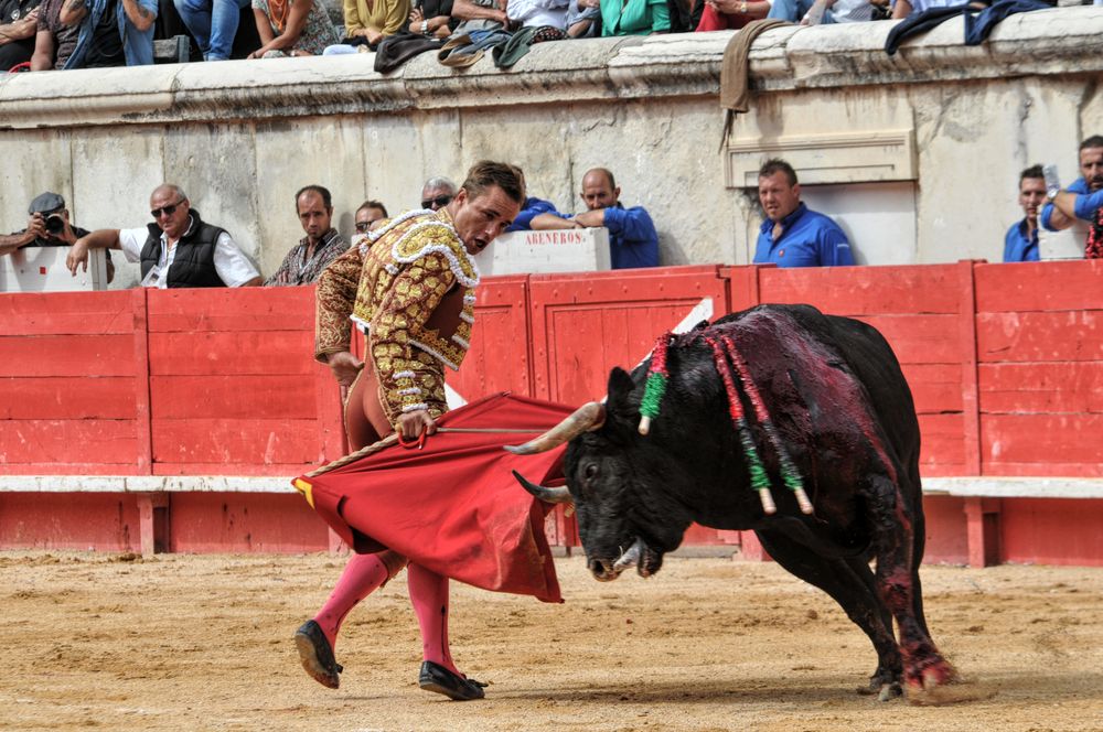 2016cordimmvendnimes (159)