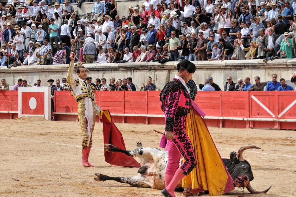 2016cordimmvendnimes (16)