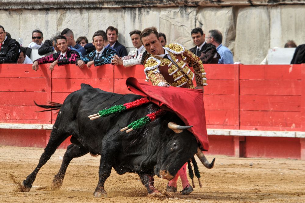 2016cordimmvendnimes (160)