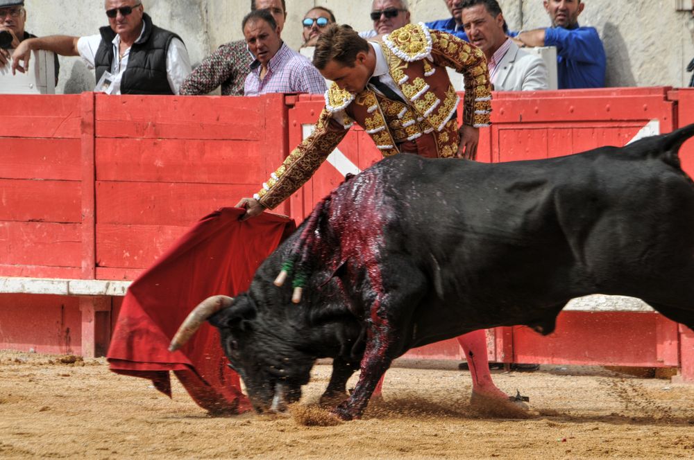 2016cordimmvendnimes (162)