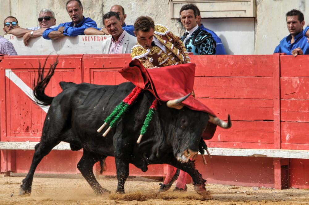2016cordimmvendnimes (163)
