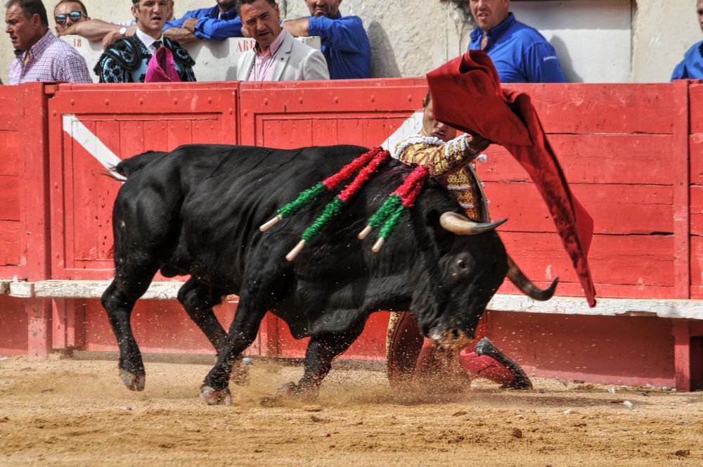 2016cordimmvendnimes (164)