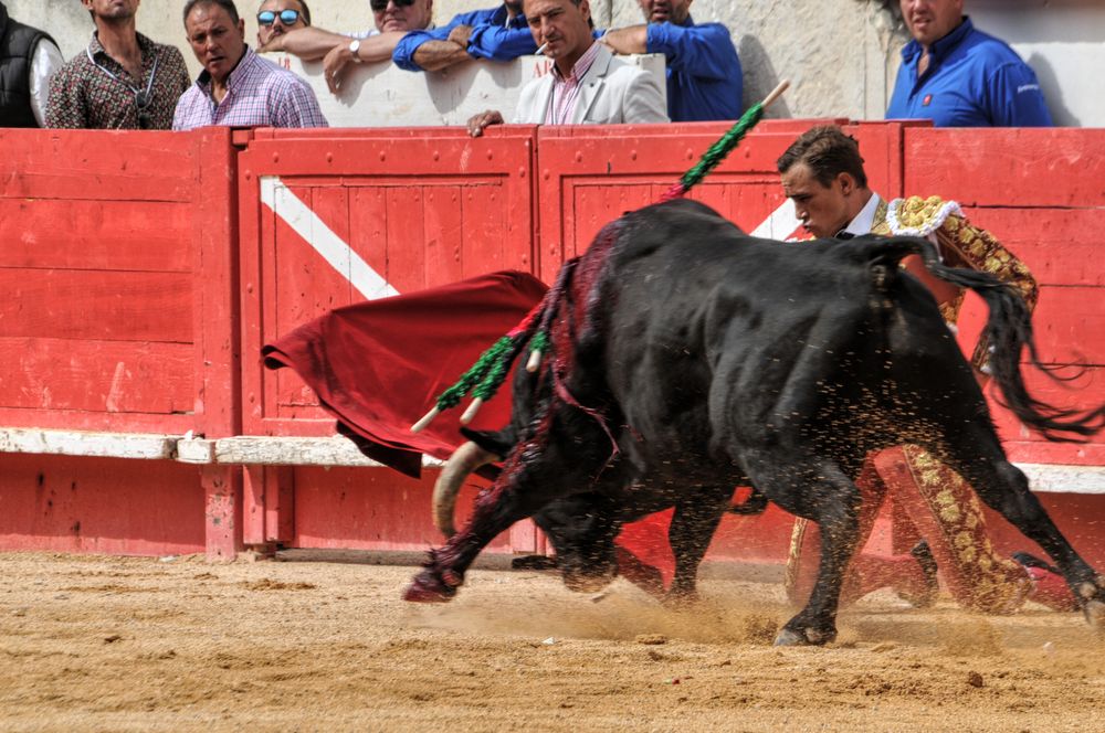 2016cordimmvendnimes (165)