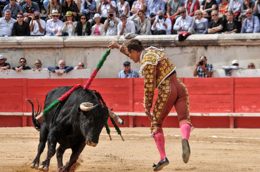 2016cordimmvendnimes (170)