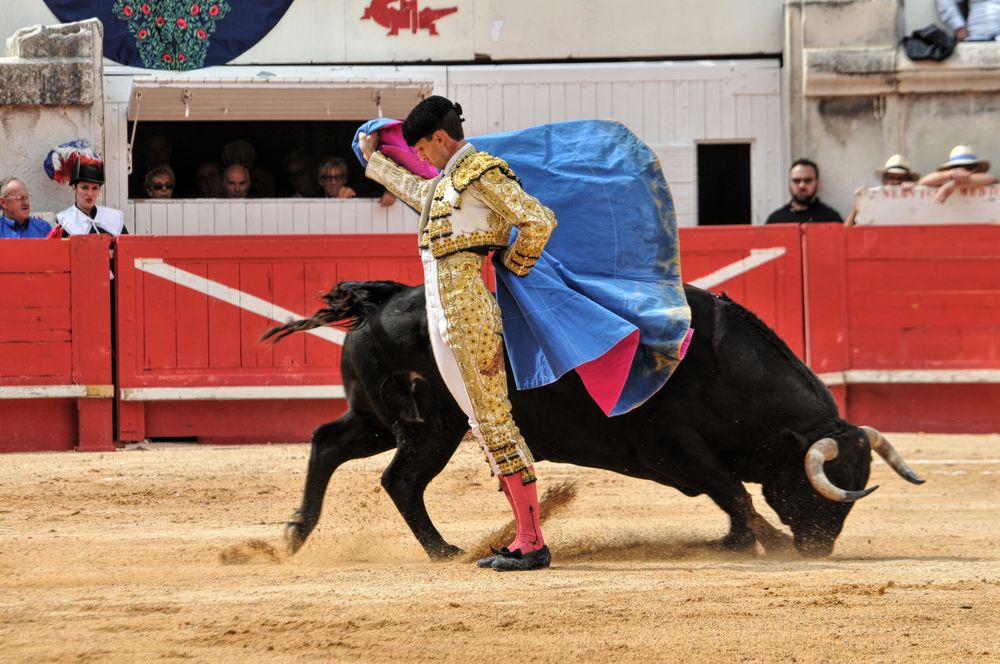 2016cordimmvendnimes (176)
