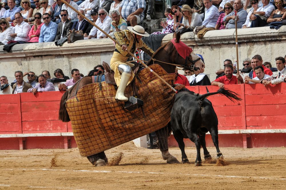 2016cordimmvendnimes (183)