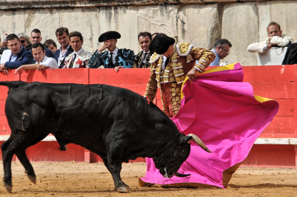 2016cordimmvendnimes (187)