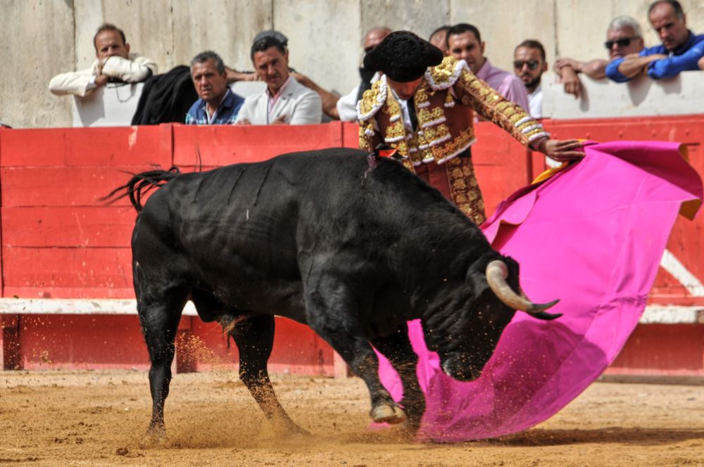 2016cordimmvendnimes (191)