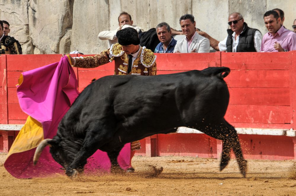 2016cordimmvendnimes (192)