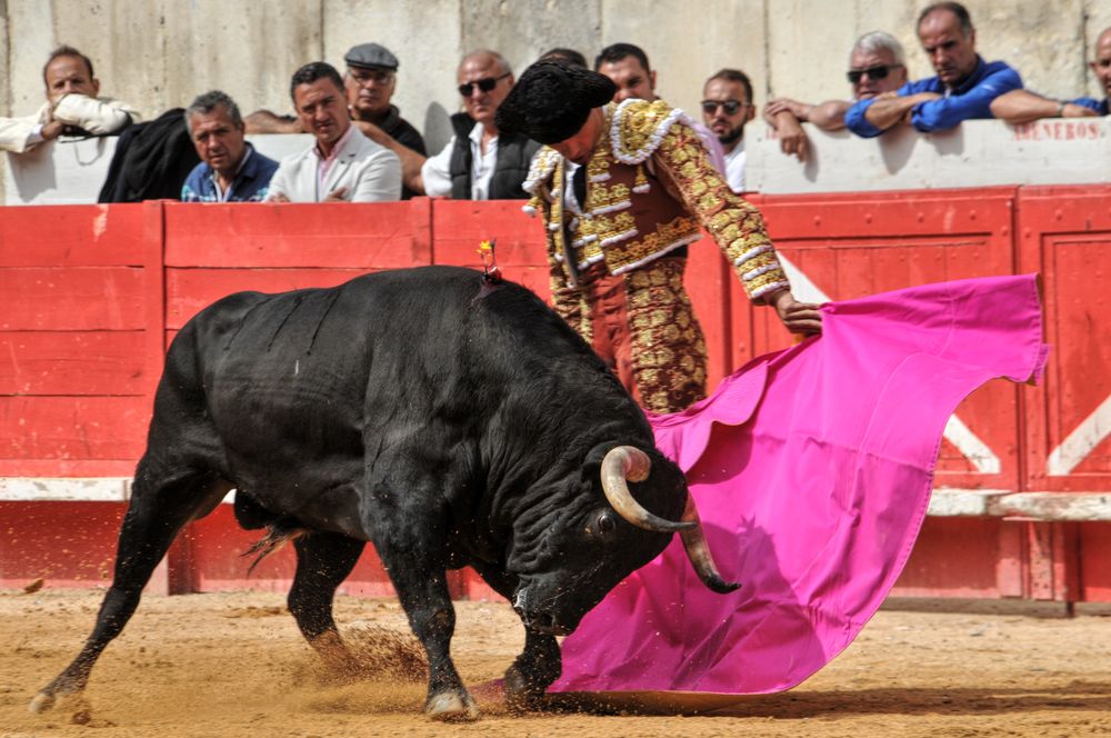 2016cordimmvendnimes (193)
